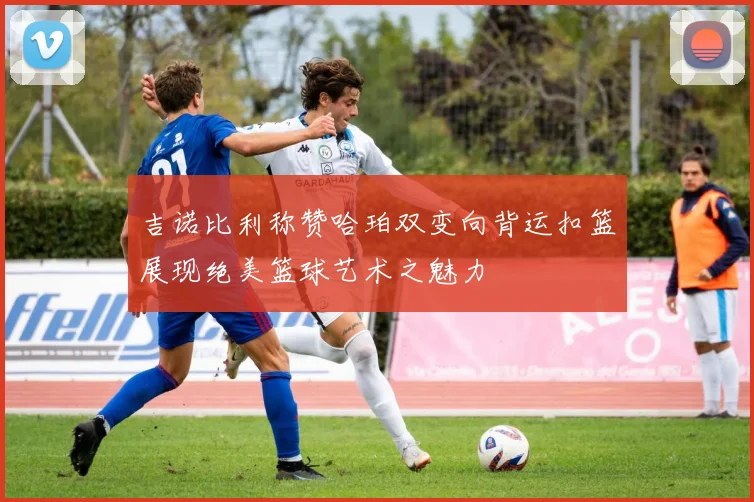 吉诺比利称赞哈珀双变向背运扣篮展现绝美篮球艺术之魅力